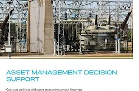 Asset management decision support