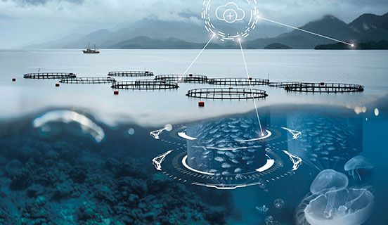 Food and beverage flyers &brochures