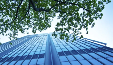 ESG & sustainability assurance services