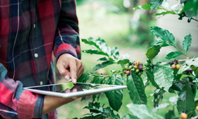 Hazard Analysis and Critical Control Points (HACCP)	