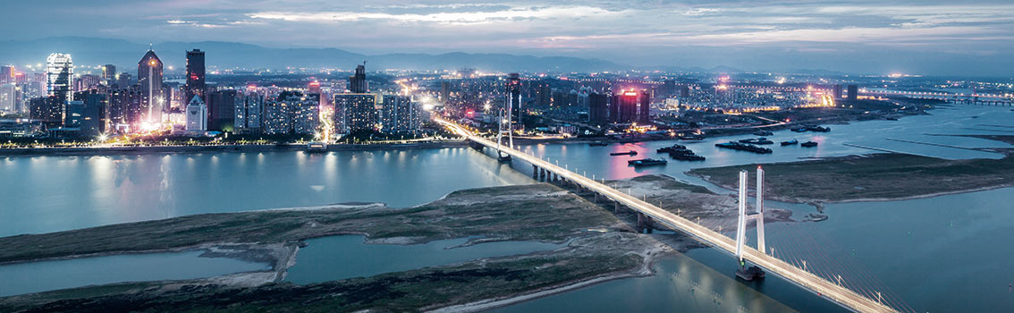 Bridge and city at night
