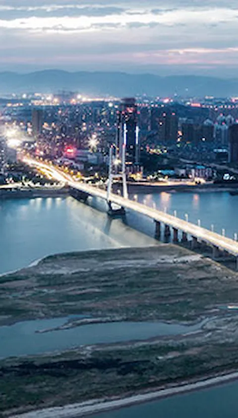 Bridge and city at night