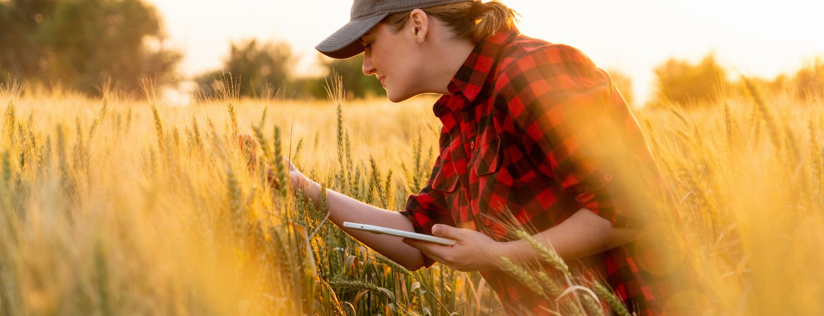 Smart farming