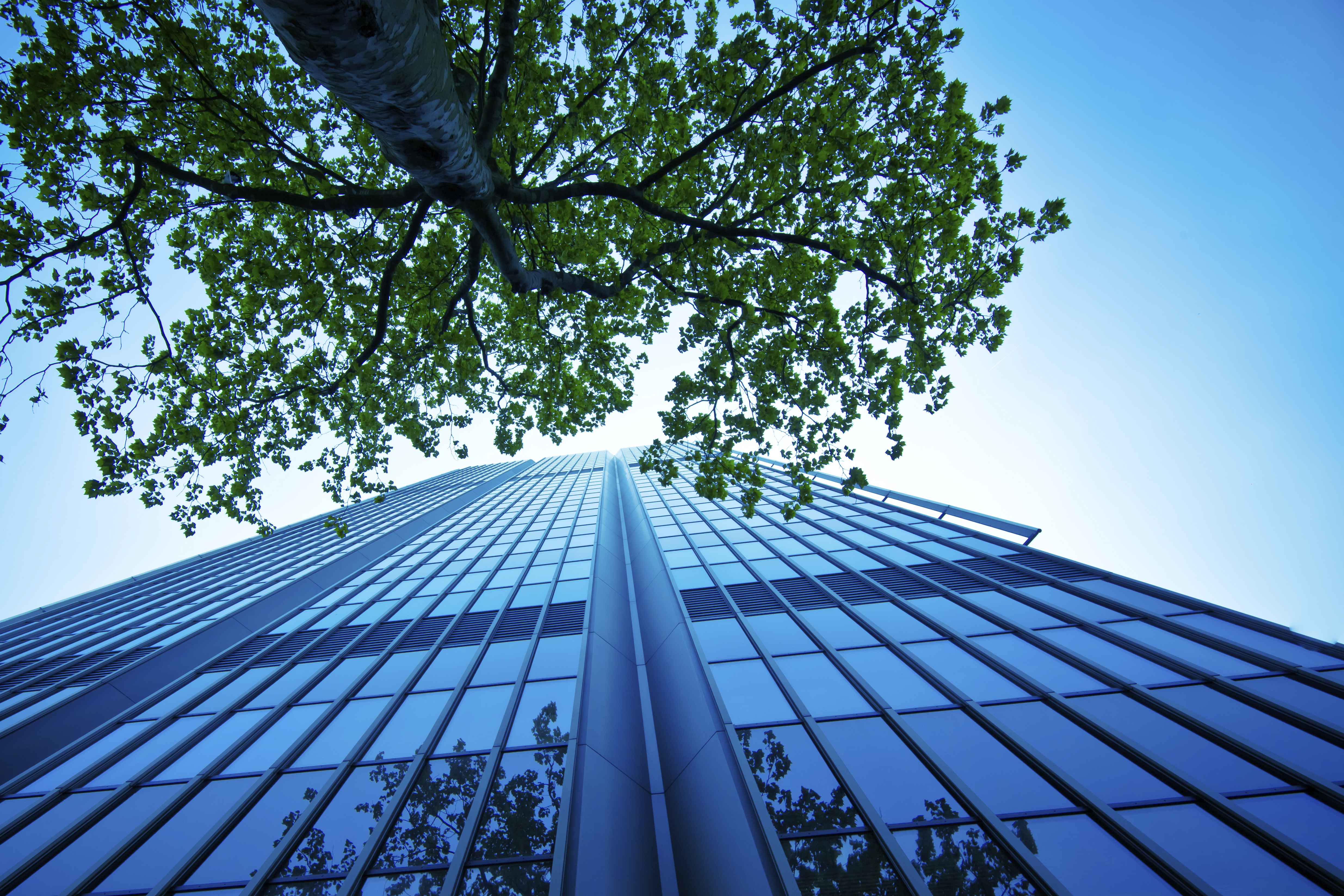 ISO 14001:2015 Auditor Transition Course