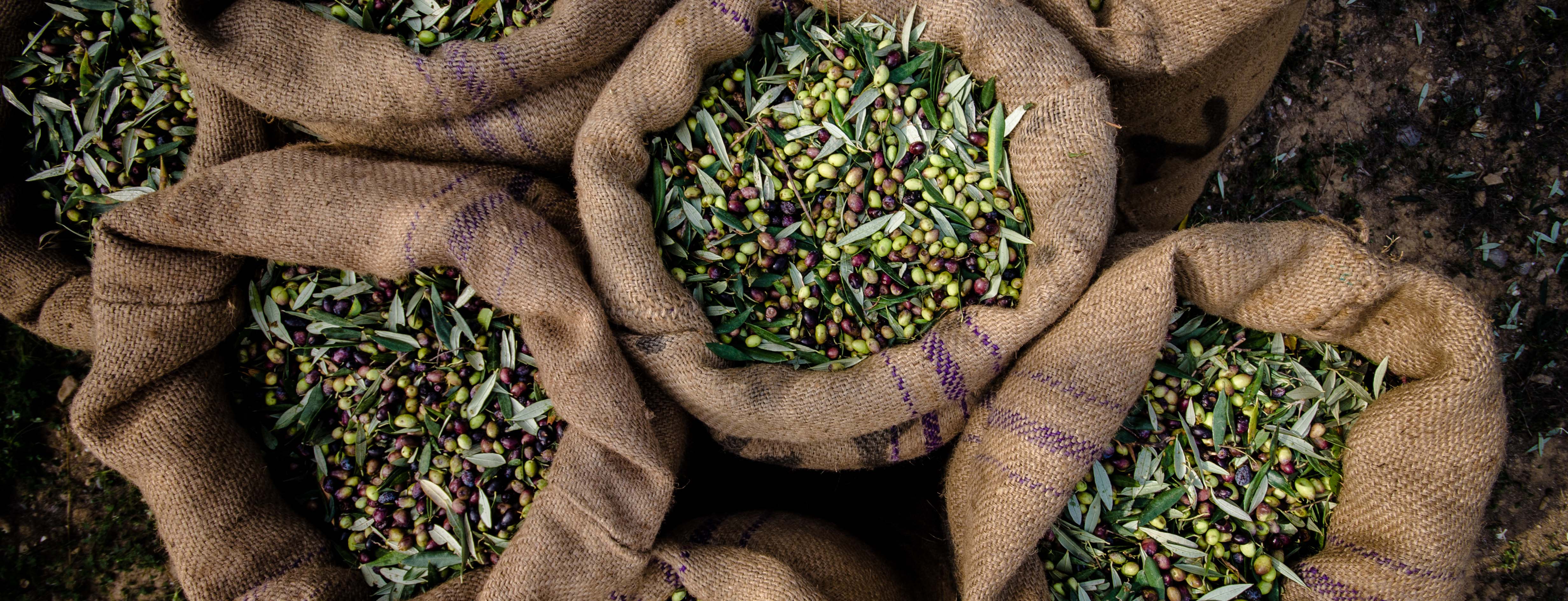 Fighting food fraud to safeguard consumers