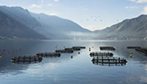 GLOBALG.A.P. IFA – Aquaculture