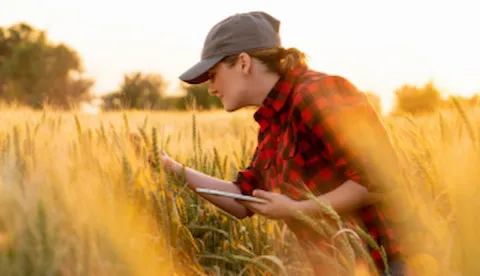 GLOBALG.A.P IFA version 6