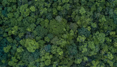 ESG & Sustainability