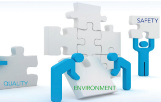 Integrated Management System Developer Course