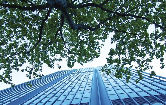 ISO 14001 Foundation Course