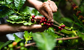 Measuring & Reporting