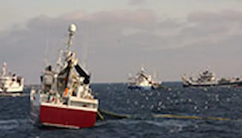 MSC Fisheries Standard