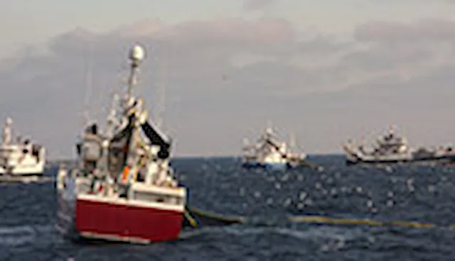 MSC принципы и критерии устойчивого рыболовства