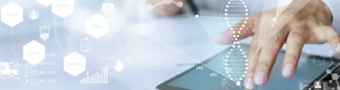 Doctor working on ipad