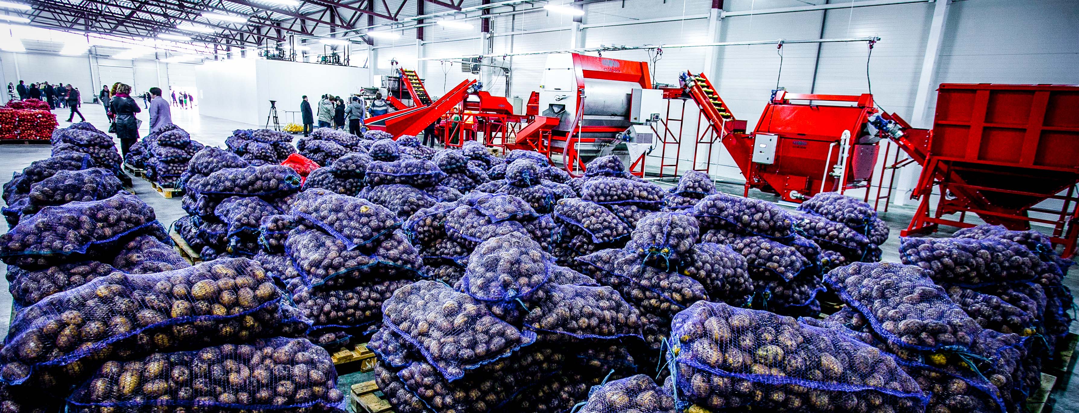 Supplier qualification during a crisis