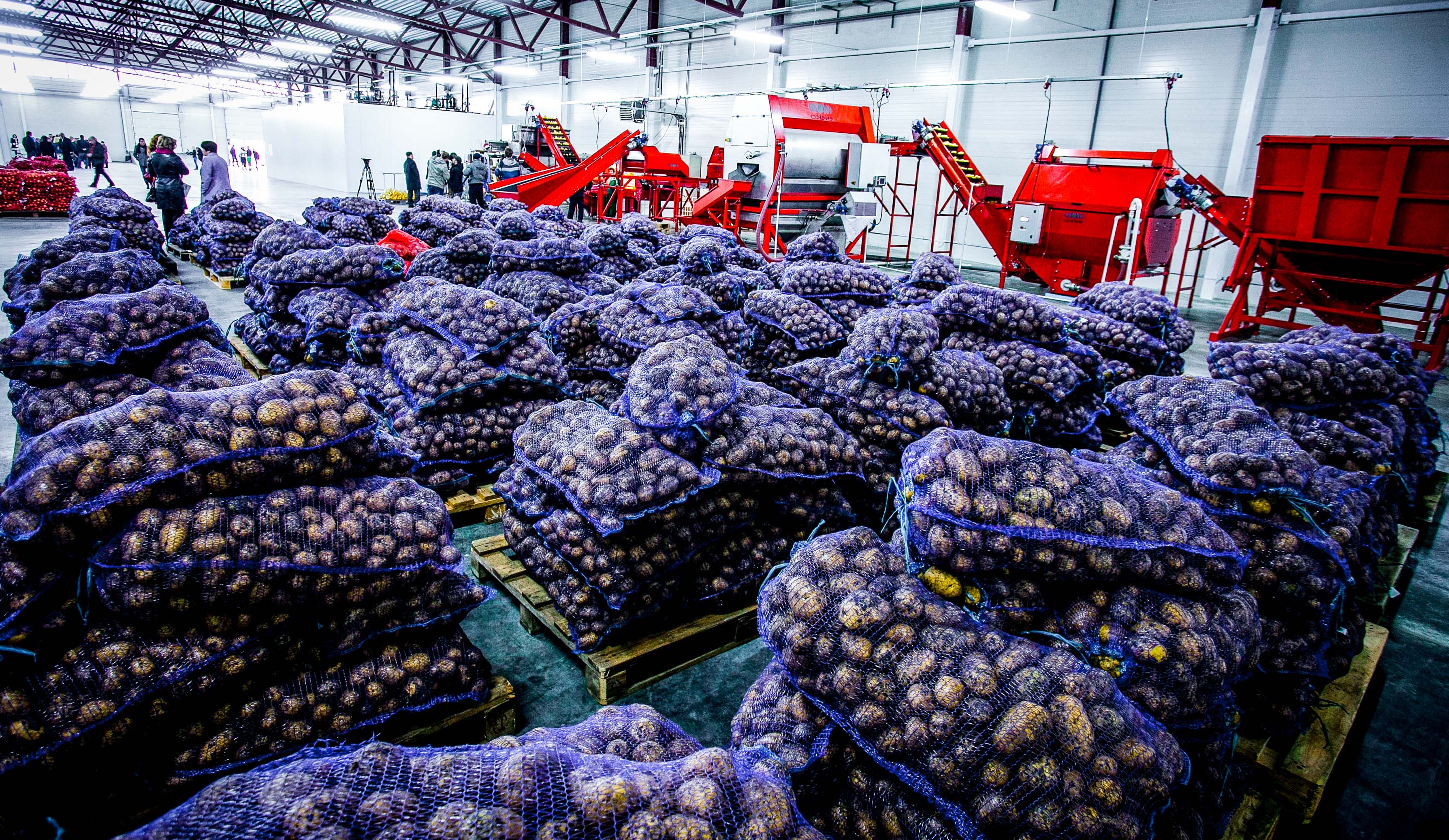 Supplier qualification during a crisis