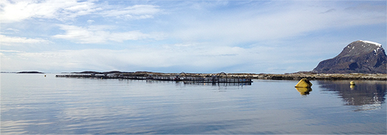 Technical aquaculture services