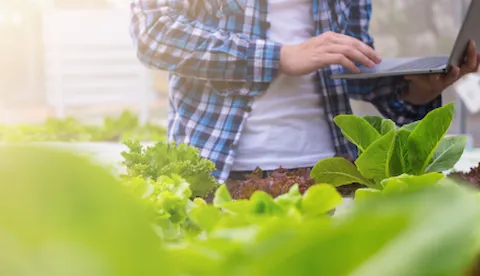 FSSC 22000 version 6 transition.