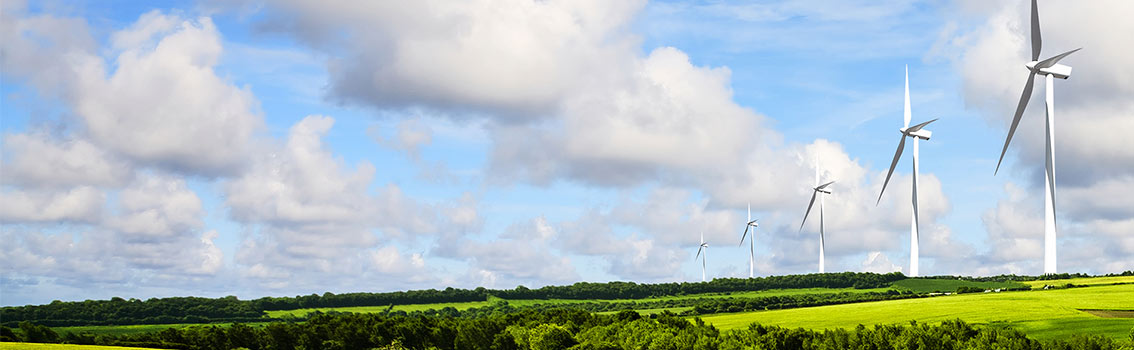 Espresso survey - Environmental audit findings snapshot